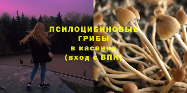 первитин Березники
