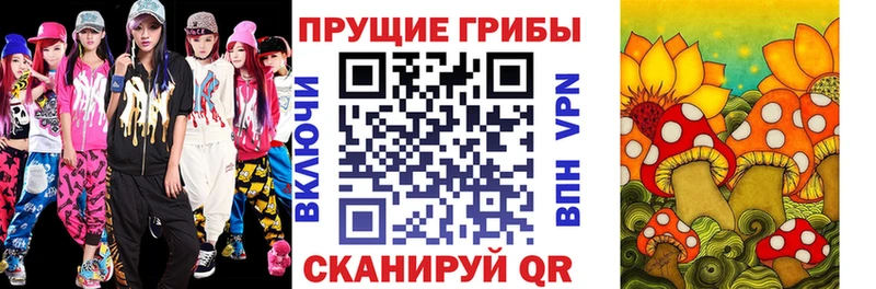 сколько стоит  Карасук  Псилоцибиновые грибы Psilocybine cubensis 