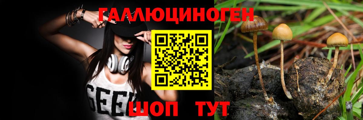 Псилоцибиновые грибы ЛСД Карасук